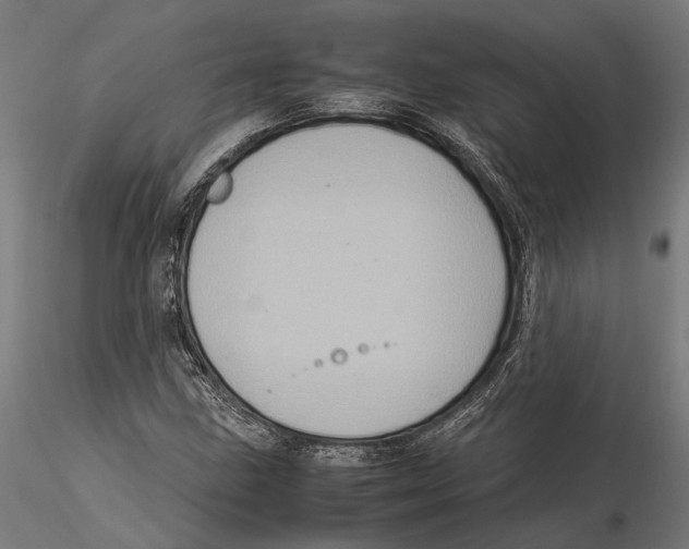 X0000115581211200912081018