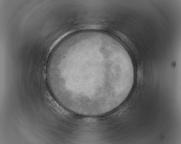 X0000115581212200912081018