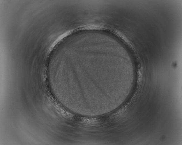 X0000115581213200912081018