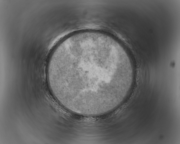 X0000115581214200912081018