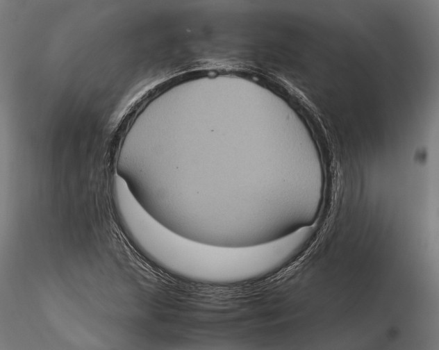 X0000115581215200912081018