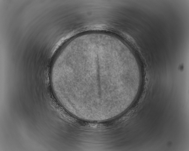 X0000115581218200912081018