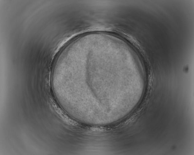 X0000115581220200912081018