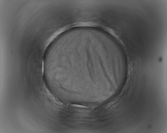 X0000115581221200912081018