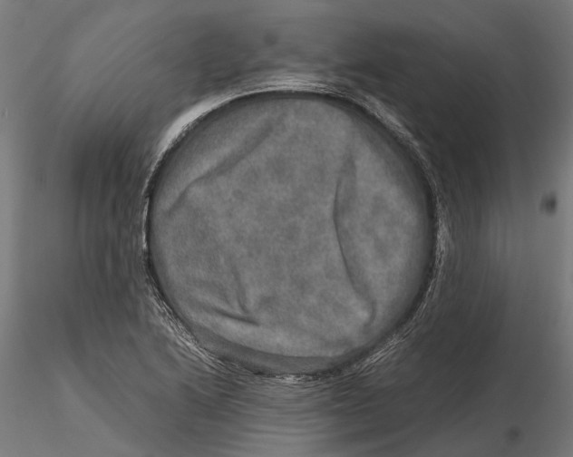 X0000115581222200912081018