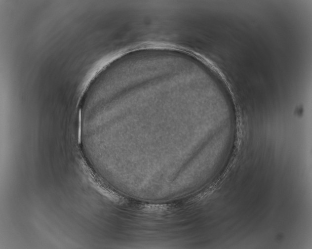 X0000115581223200912081018