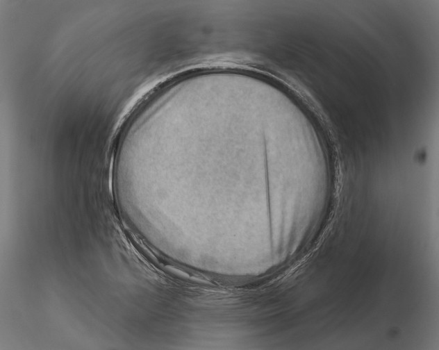 X0000115581224200912081018