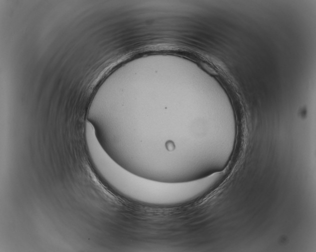 X0000115581225200912081018