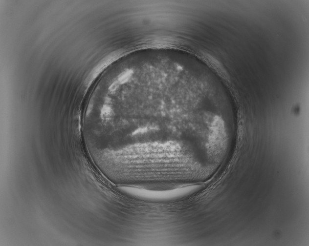 X0000115581226200912081018