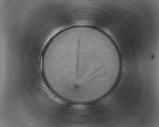 X0000115581227200912081018