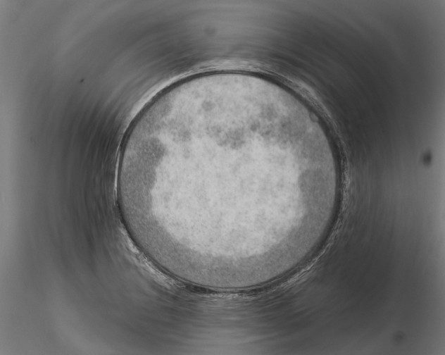 X0000115581228200912081018