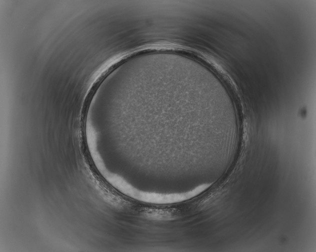 X0000115581229200912081018