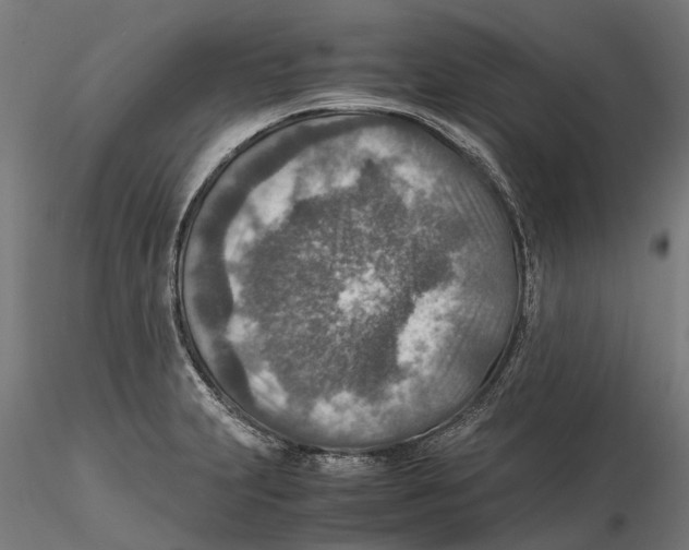 X0000115581231200912081018