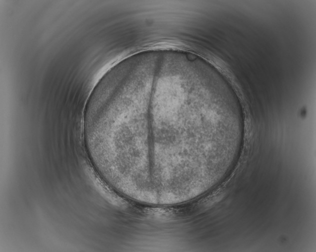 X0000115581234200912081018