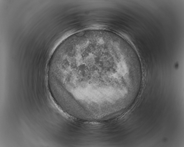 X0000115581235200912081018