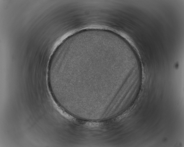 X0000115581237200912081018