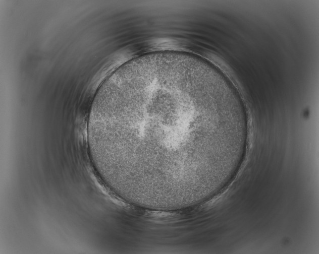 X0000115581241200912081018