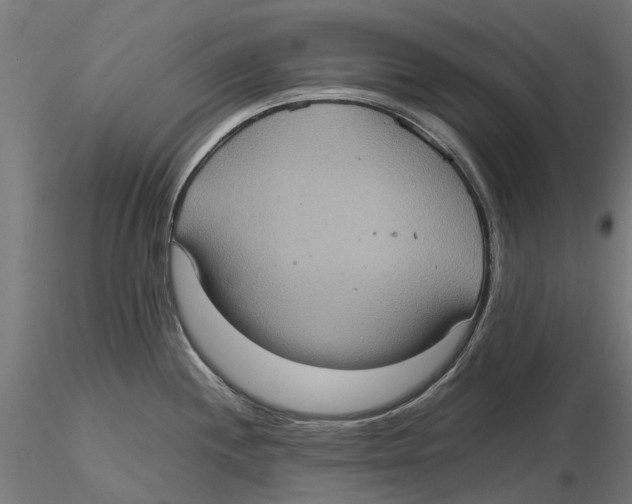 X0000115581244200912081018