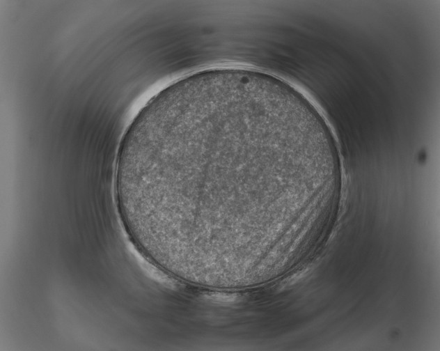 X0000115581245200912081018