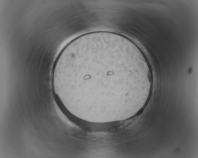 X0000115581246200912081018