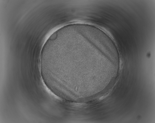 X0000115581247200912081018