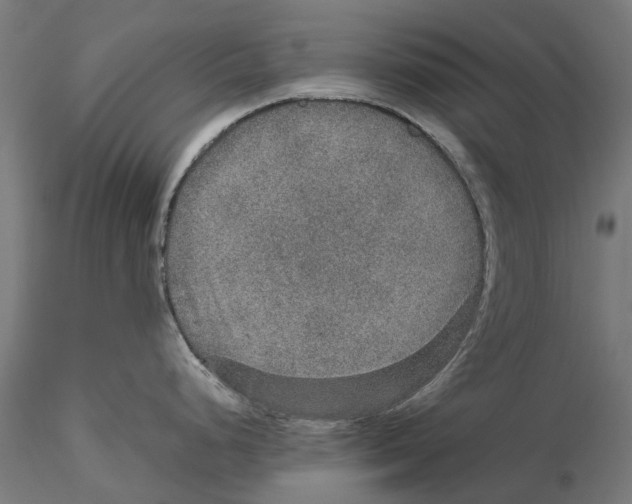 X0000115581248200912081018