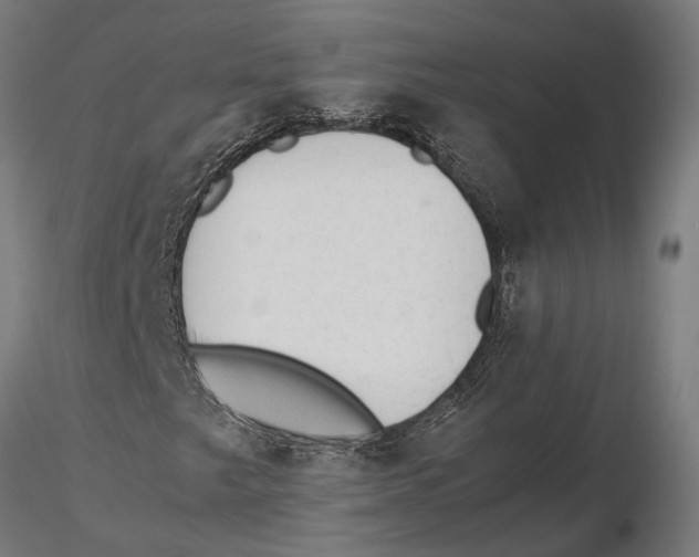 X0000115581249200912081018