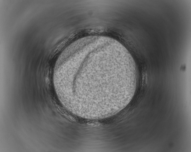 X0000115581250200912081018