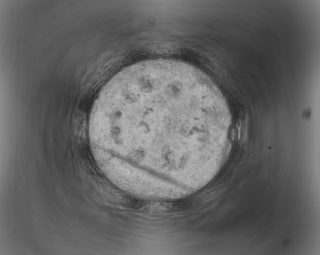 X0000115581251200912081018