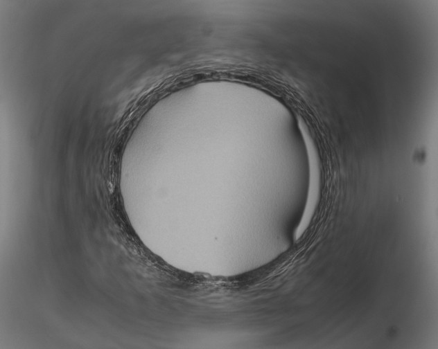 X0000115581253200912081018