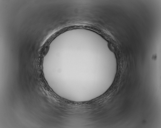 X0000115581256200912081018