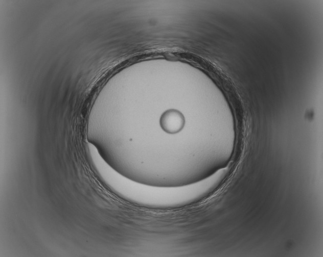 X0000115581257200912081017