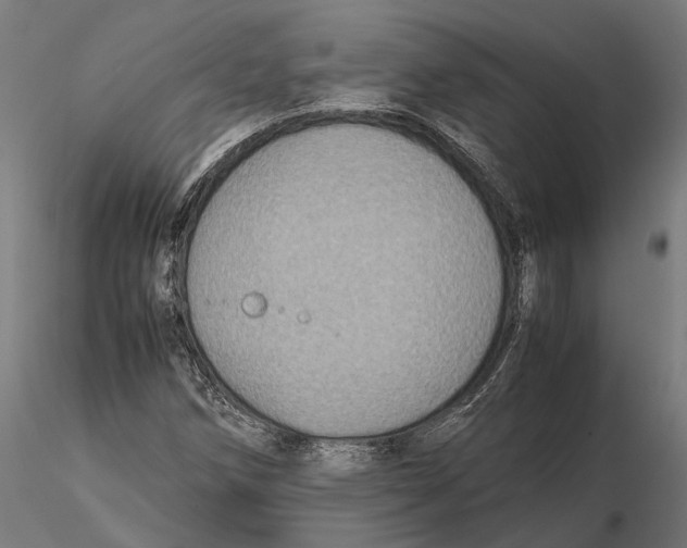 X0000115581258200912081017