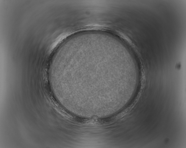 X0000115581259200912081017