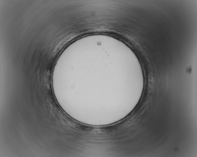 X0000115581265200912081017