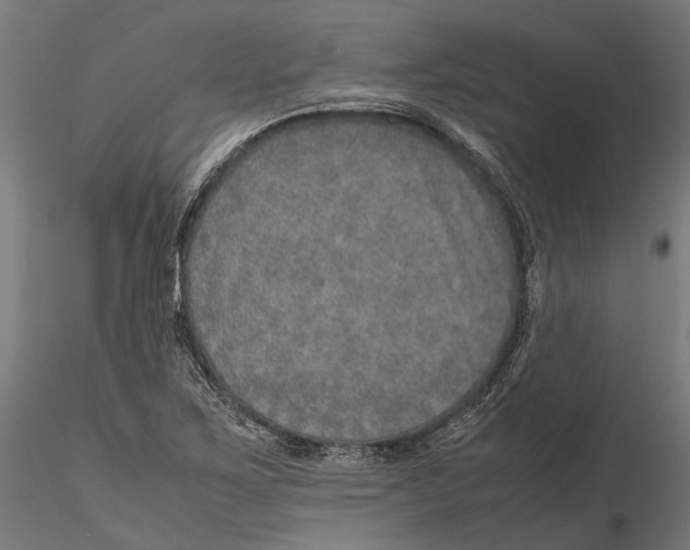 X0000115581267200912081017