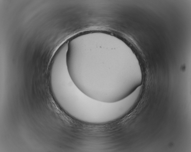 X0000115581268200912081017