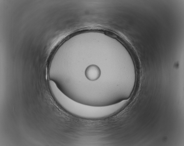 X0000115581269200912081017