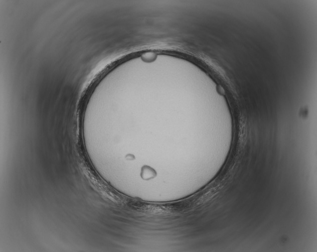 X0000115581270200912081017