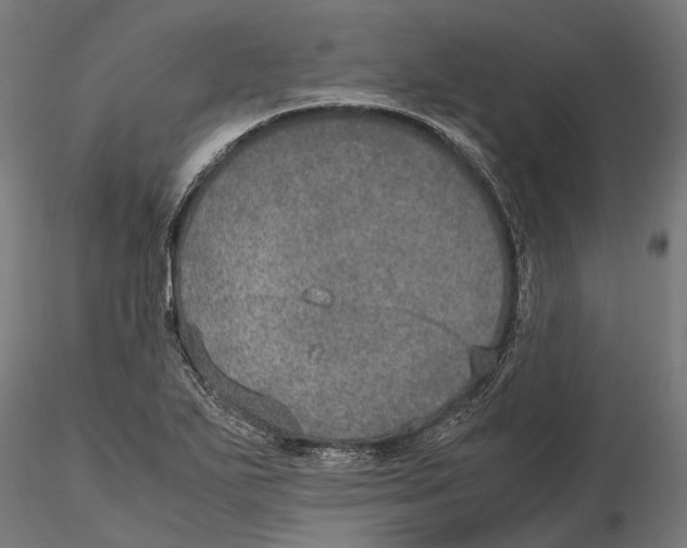 X0000115581271200912081017