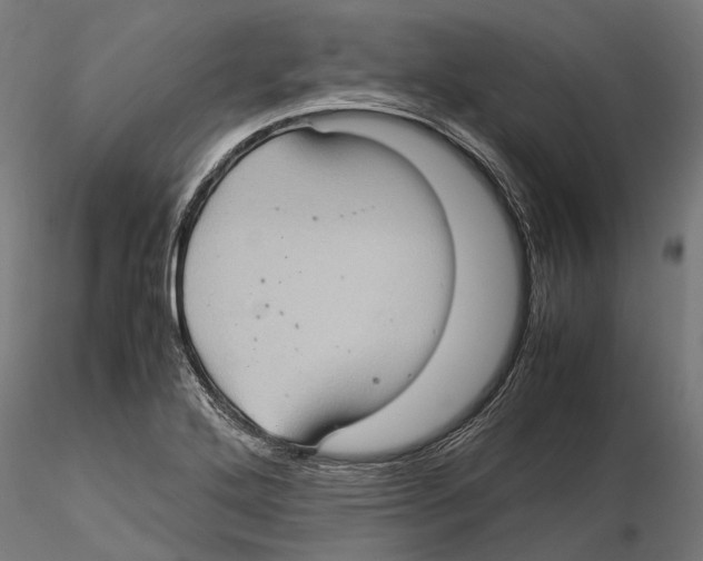 X0000115581272200912081017