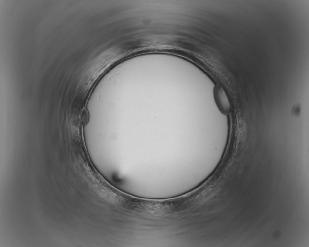 X0000115581273200912081017