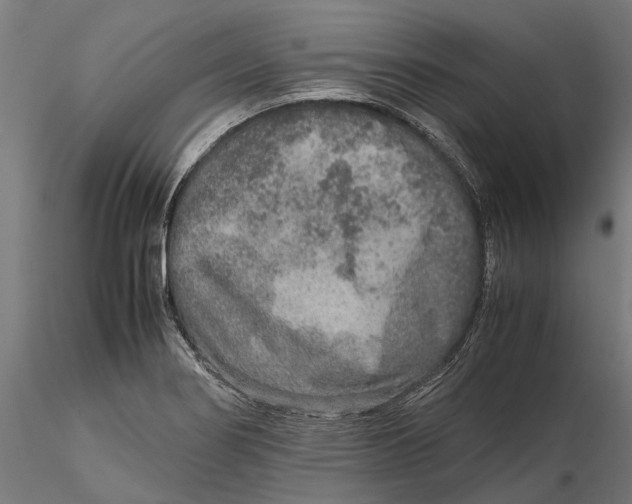 X0000115581274200912081017