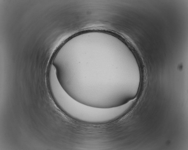 X0000115581277200912081017