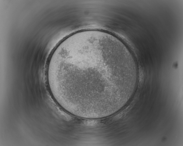 X0000115581278200912081017