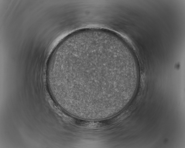 X0000115581279200912081017