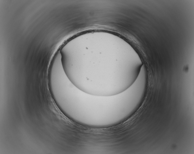 X0000115581280200912081017