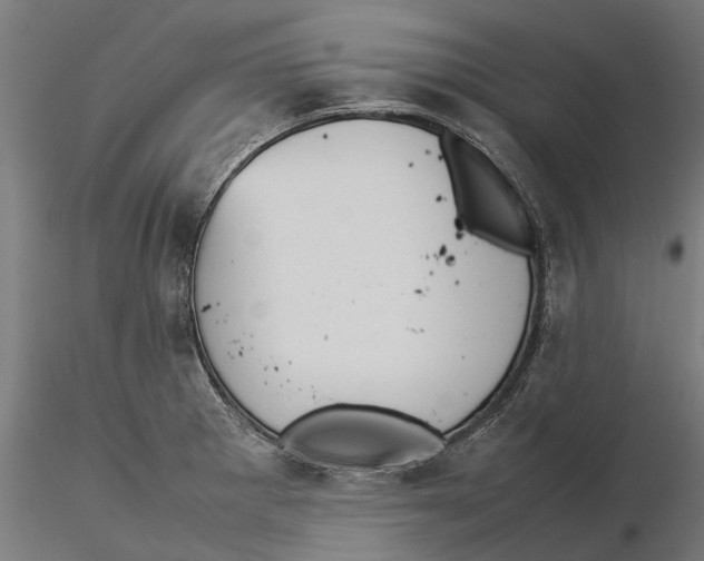 X0000115581281200912081017