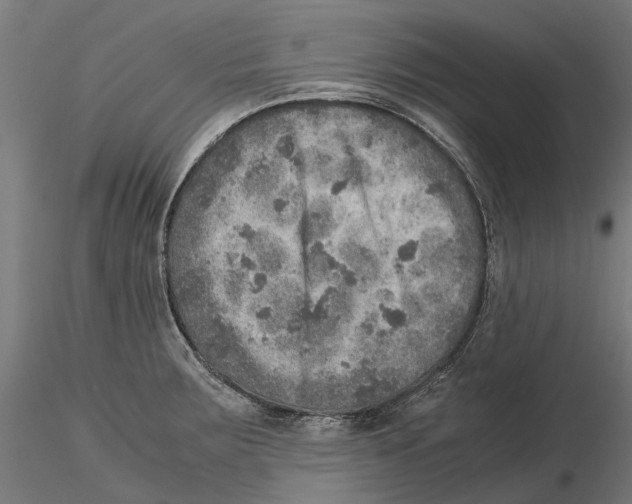 X0000115581283200912081017