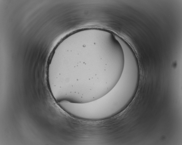 X0000115581288200912081017